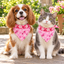 Double-Layer Pet Bandana - Pink