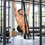 Adjustable Suspension Training System – Bodyweight Trainer