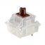 Keychron CHERRY MX2A Brown RGB Switch Set