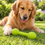 Rubber Dumbbell Chew Toy – 14 cm