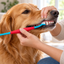 Double-Ended Pet Toothbrush
