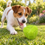 Treat-Dispensing Chew Toy