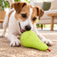 Pear Squeaky Toy