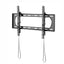 WINX MOUNT Max Tilt TV Bracket