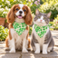 Double-Layer Pet Bandana - Green