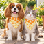 Double-Layer Pet Bandana - Orange