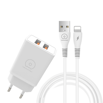 WUW-T55 3.1A 2USB Charger - iPhone