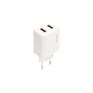 YESPLUS YS-1119 2.4A 2USB Charger – Micro