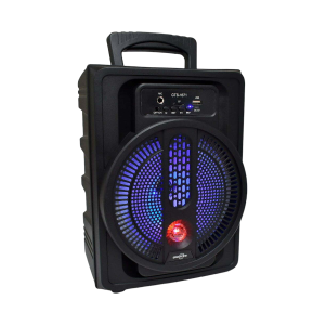 GTS-1671 Bluetooth 8″ Speaker