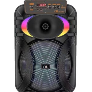 BT-1001 Bluetooth 10″ Speaker W/Mic+Remote