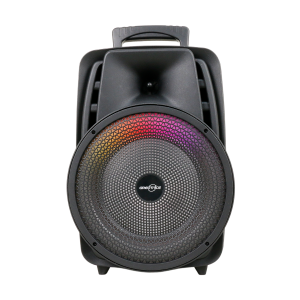 GTS-2047 Bluetooth 8″ Speaker W/Mic