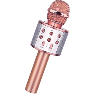 WS-858L – Wireless Karaoke Microphone & Bluetooth Speaker