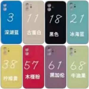 iPhone 17 Pro Max Silicon Case